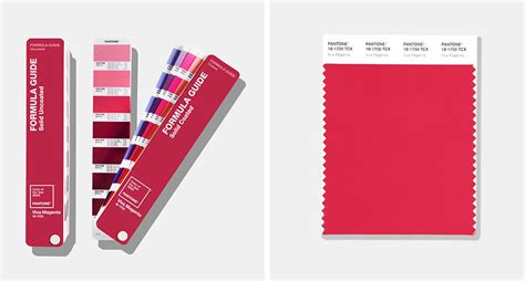 2023年顏色|Pantone 2023 年度代表色 Viva Magenta（附色值）